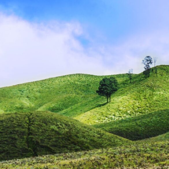 Bukit Pandang Sangatta