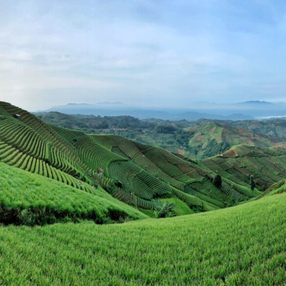 Bukit Pelangi Sangatta