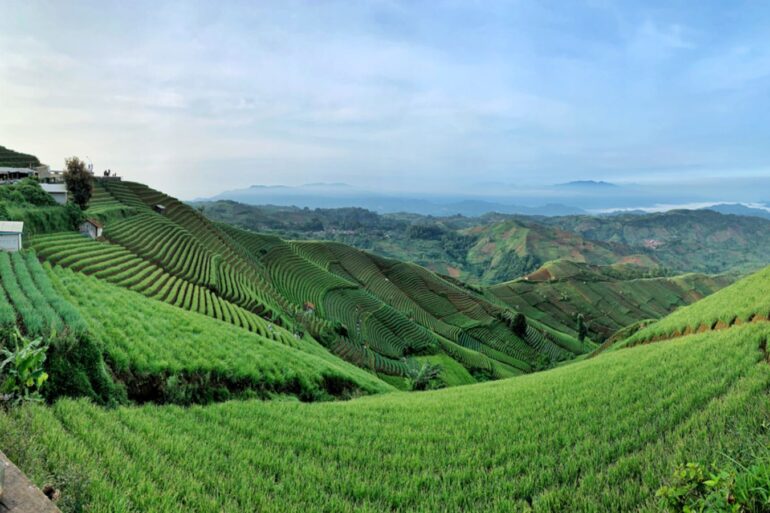 Bukit Pelangi Sangatta